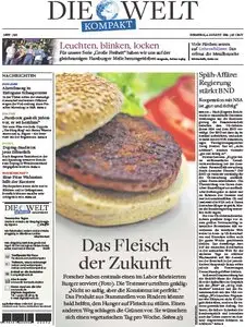 Die Welt Kompakt vom 06 August 2013