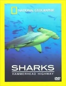 National Geographic - Hammerhead Highway (2008)