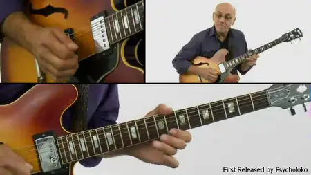 Truefire - Larry Carlton's Collections (2015)