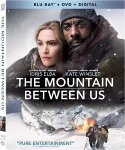 The Mountain Between Us (2017)