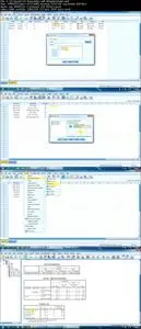 SPSS Basics