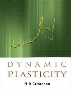 Dynamic Plasticity