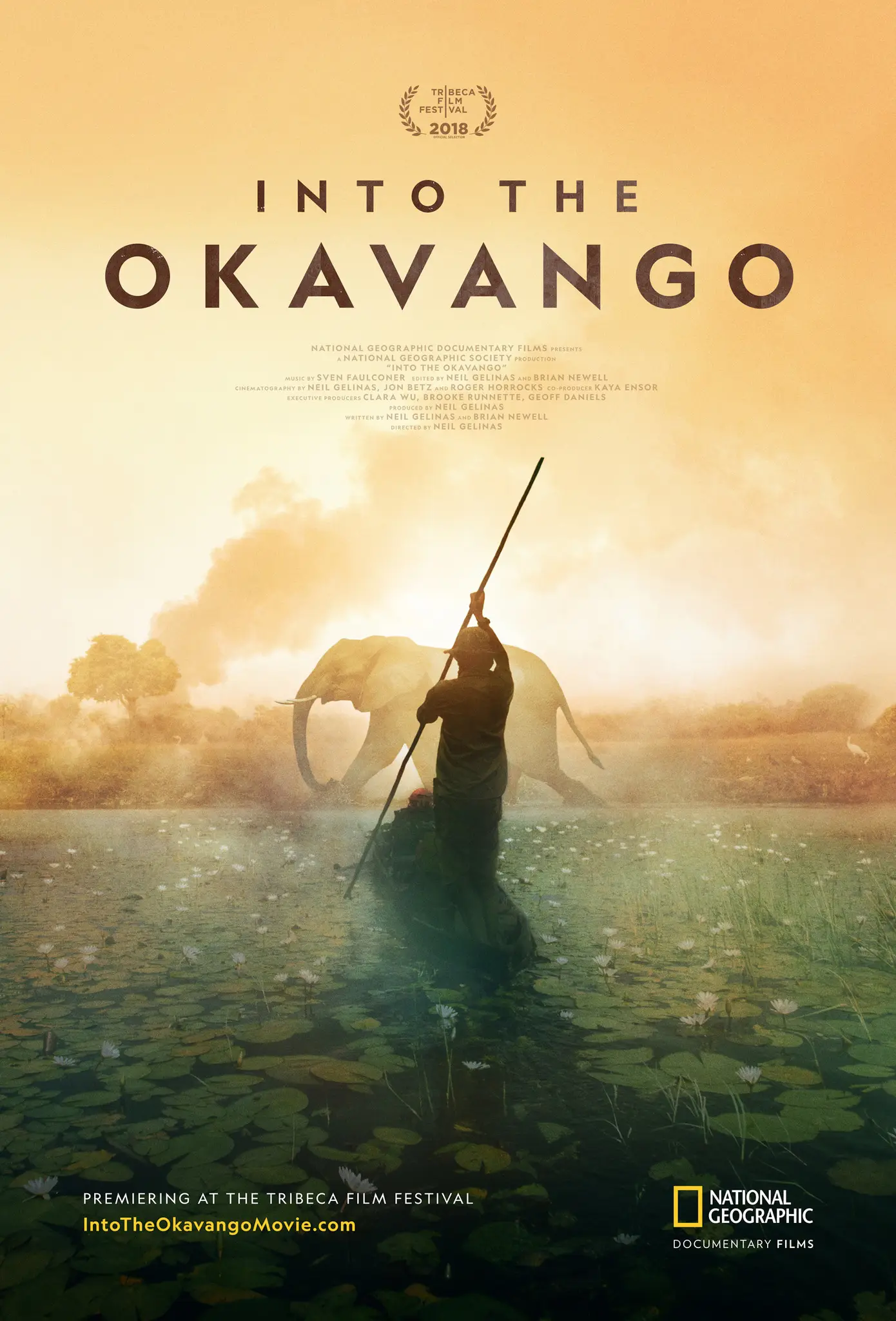 Into The Okavango (2018)