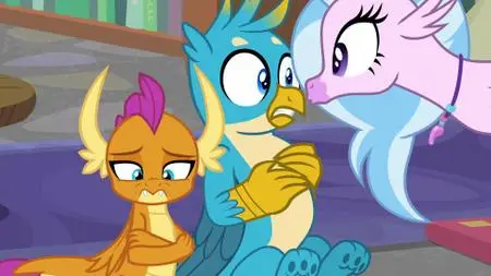 My Little Pony: L' Amicizia E' Magica S08E22