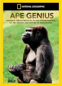 National Geographic - Ape Genius