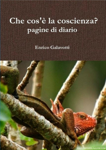 Enrico Galavotti -  Che cos'è la coscienza? Pagine di Diario (2014)