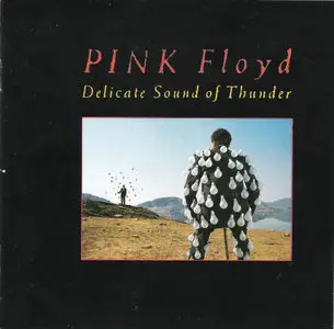 Pink Floyd - Delicate Sound of Thunder (1988) -2 CD-
