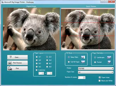 Abonsoft Big Image Printer 1.0.130323