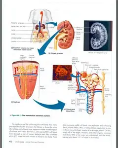 Biology, 7th Edition by Neil A. Campbell, Jane B. Reece