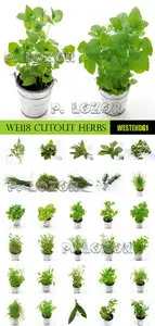 WE118 Cutout Herbs
