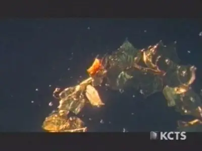 PBS - Nova - Infinite Secrets Of Archimedes