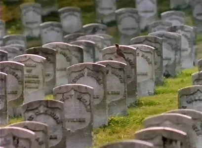 PBS - Lincoln (1992)