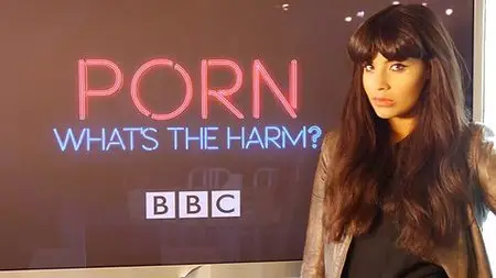 BBC - Porn: What’s The Harm? (2014)