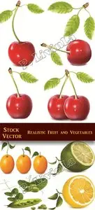 Stock Vector - Realistic Fruit and Vegetables