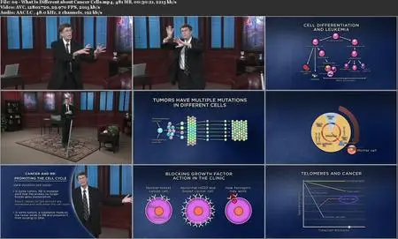 TTC Video - What Science Knows about Cancer [720p]