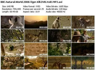 BBC Natural World - Tiger Kill (2008)