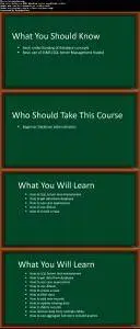 Beginners Guide to Developing SQL Queries for SQL Server