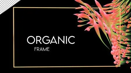 Organic Frame On Alpha 1538822