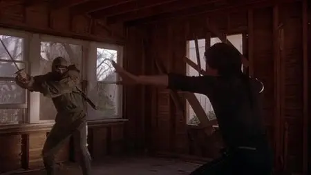 Ninja III: The Domination (1984)