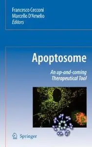 Apoptosome: An up-and-coming therapeutical tool