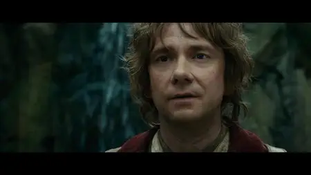 The Hobbit: An Unexpected Journey (2012)