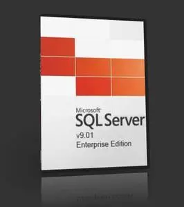 Microsoft SQL Server v9.01 (Enterprise Edition)