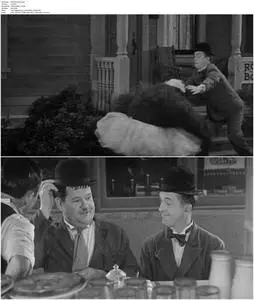 Laurel & Hardy: Their Lives and Magic (2011)