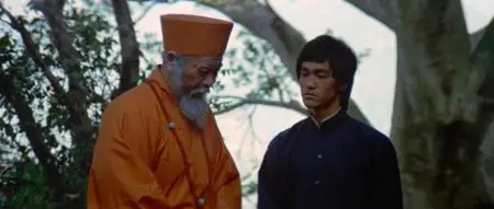 Enter the Dragon (1973) [The Criterion Collection]