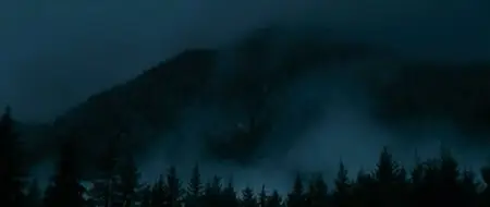 Le Territoire des Loups / The Grey (2012)