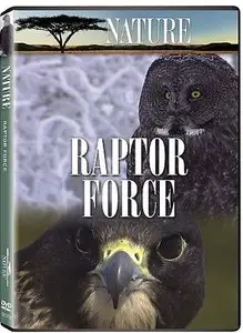 PBS - Nature: Raptor Force (2007) [repost]
