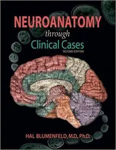 Neuroanatomy Through Clinical Cases (2nd Edition)