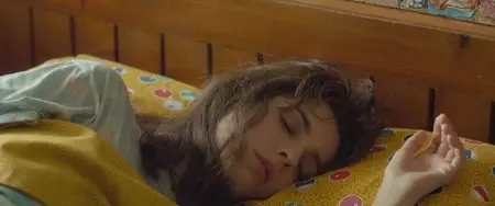 Requisitos para ser una persona normal (2015)