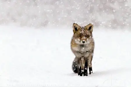 World In Photo 238