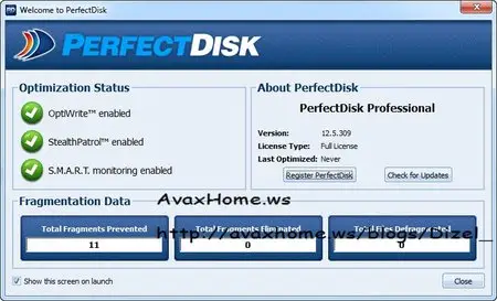 Raxco PerfectDisk Professional 12.5 build 309