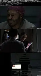 Detroit 1-8-7 - S01E03: Nobody's Home/Unknown Soldier