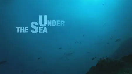 Water Life: Episode 19 - Under The Sea  / Mundos de agua / Водная жизнь. Серия 19 - На морском дне (2008) 