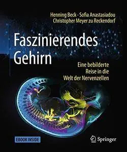 Faszinierendes Gehirn: Eine bebilderte Reise in die Welt der Nervenzellen