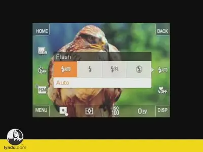 Lynda.com - Digital Photography Principles: The Camera