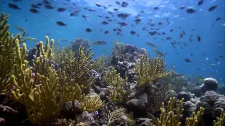 BBC Rise of the Continents (2013)