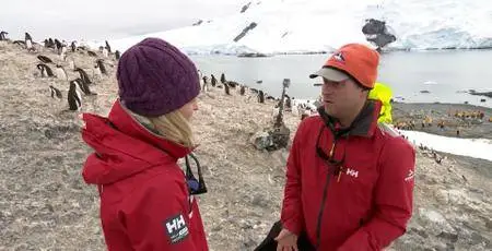 BBC - Our World 2016 The Penguin Watchers