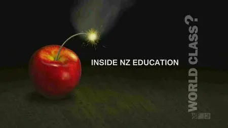 World Class - Inside New Zealand Education (2016)