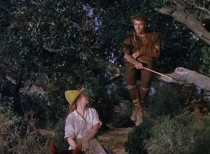 The Flame and the Arrow (1950)