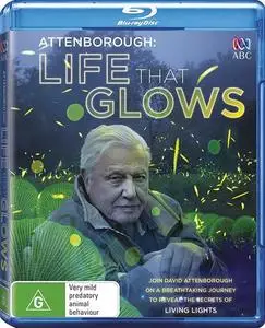 Attenborough's Life That Glows (2016)