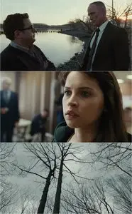 True Story (2015)