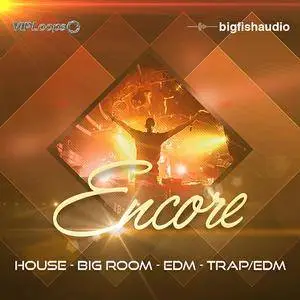Big Fish Audio & VIP Loops - Encore MULTiFORMAT