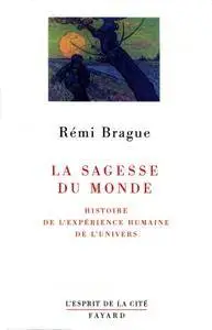 Rémi Brague, "La Sagesse du monde : Histoire de l'expérience humaine de l'univers"