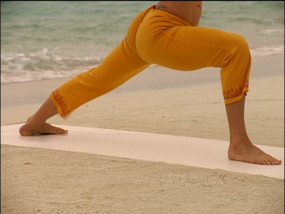 Shiva Rea - Sun Salutations (2005)