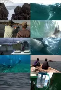BBC - Human Planet S01E01 Oceans: Into the Blue (2011)