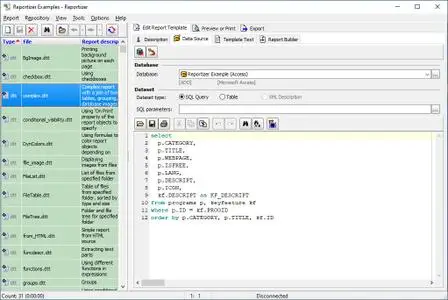 Reportizer 6.5.5.112 (x64) Multilingual