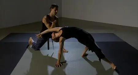 Cameron Shayne - Budokon DVD Set (2007)